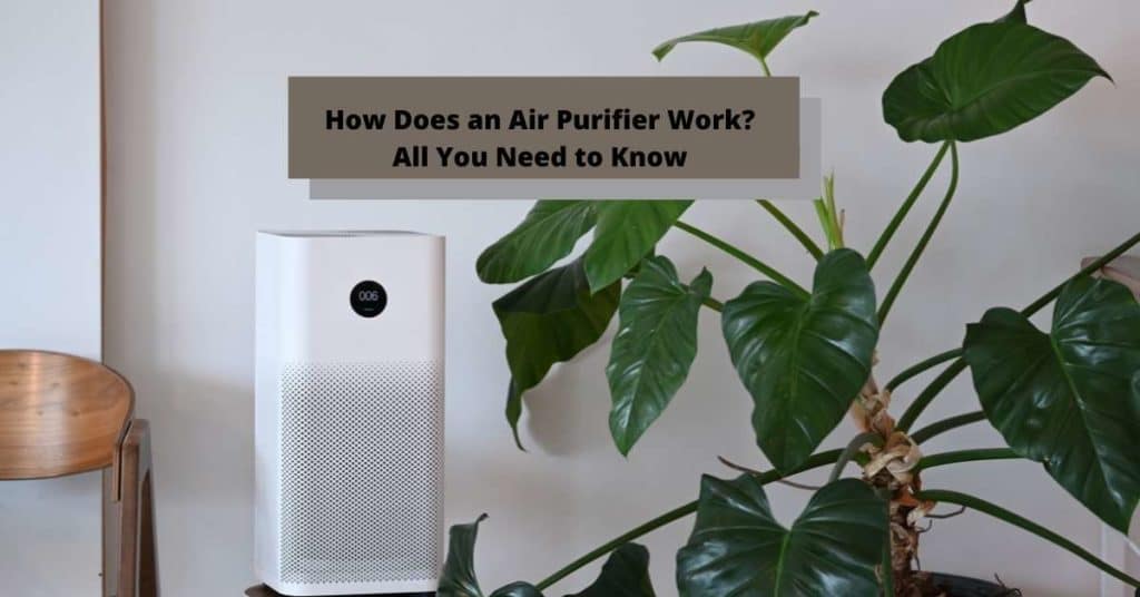 How Does an Air Purifier Work? All You Need to Know