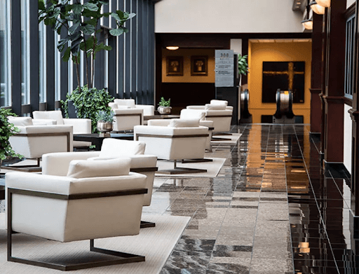hotel lobbies should have an air purifier to circulate fresh, unpolluted, allergen-free air