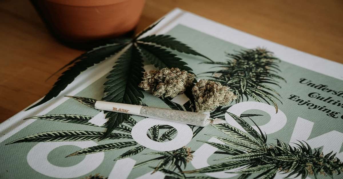 A photo of cannabis joint with a single marijuana leaf