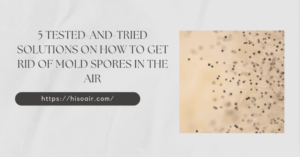 Tested-And-Tried Solutions on How to Get Rid of Mold Spores in the Air