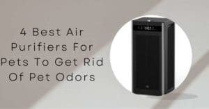 4 Best Air Purifiers for Pets to Get Rid of Pet Odors