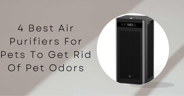 4 Best Air Purifiers for Pets to Get Rid of Pet Odors