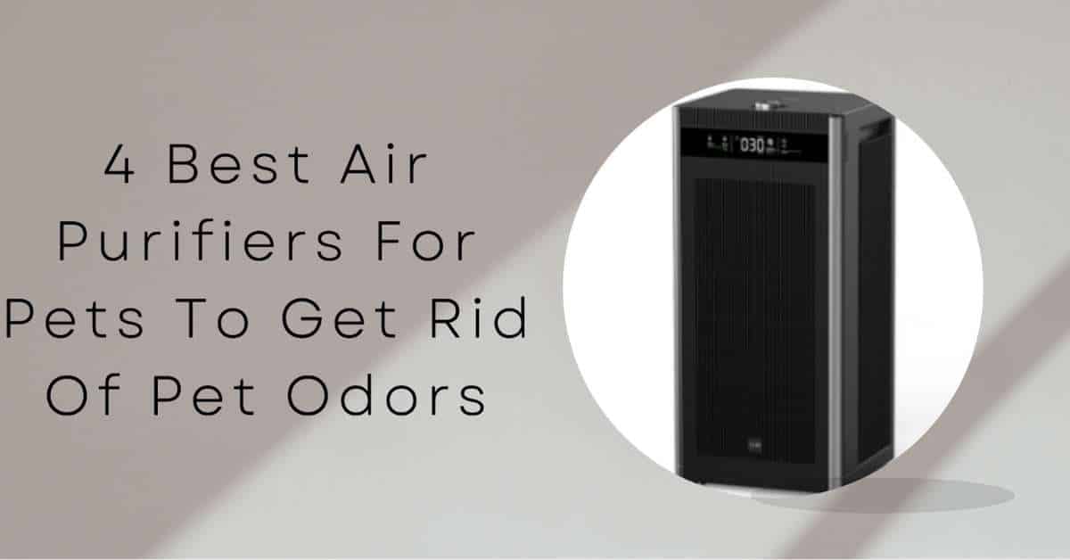 Best Air Purifiers for Pets to Get Rid of Pet Odors