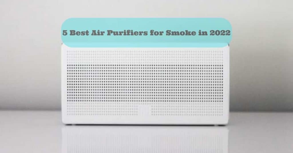 5 Best Air Purifiers for Smoke in 2022