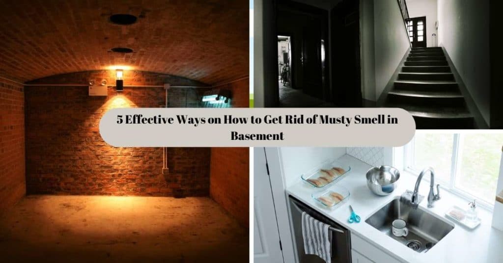 5 Effective Ways on How to Get Rid of Musty Smell in Basement