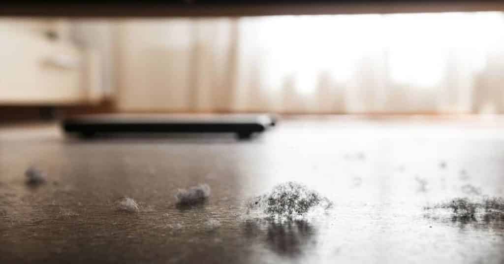 5 Best Ways on How to Get Rid of Floating Dust in the Air