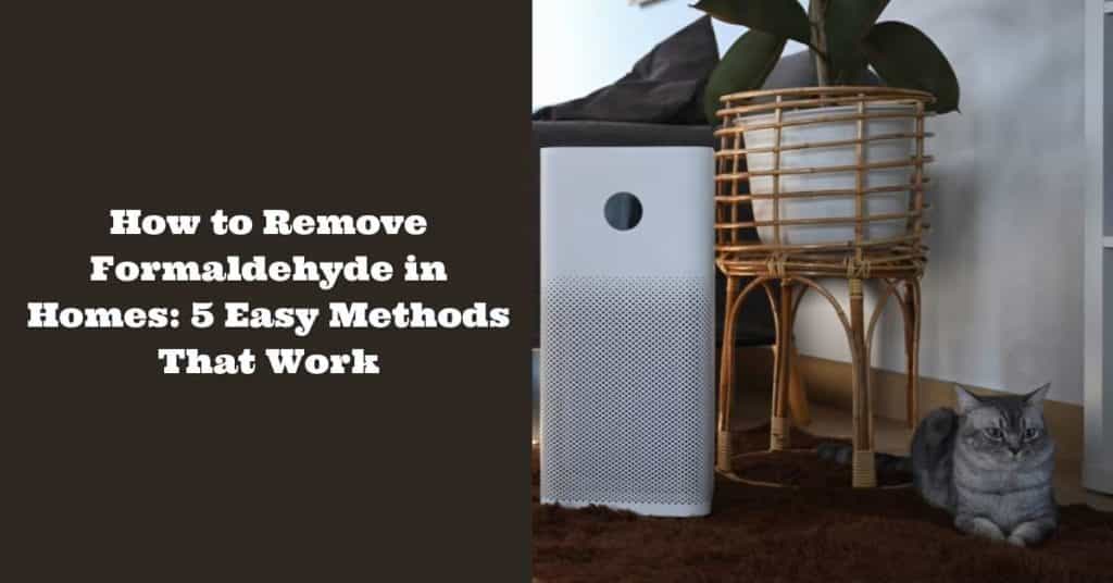 How to Remove Formaldehyde in Homes: 5 Easy Methods That Work