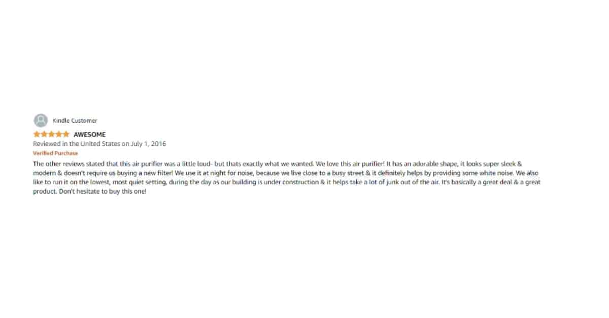 A user review for the Holmes Egg Air Purifier on Amazon