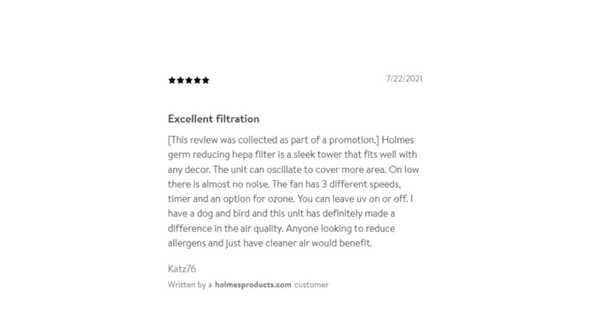 A user review for the Holmes Germ-Reducing Air Purifier on Walmart