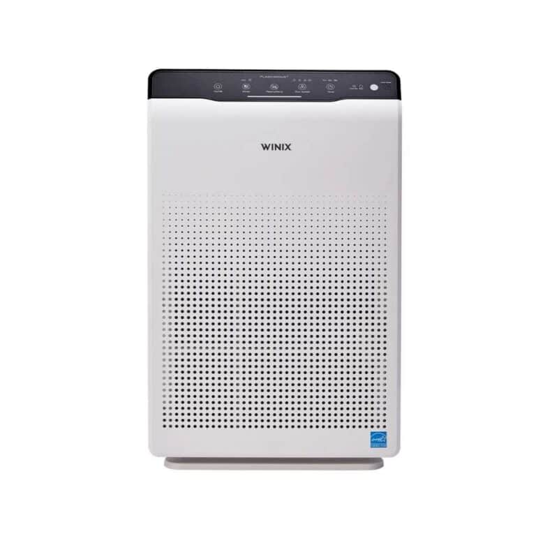 17 Best Winix HEPA Air Purifier Reviews in 2022