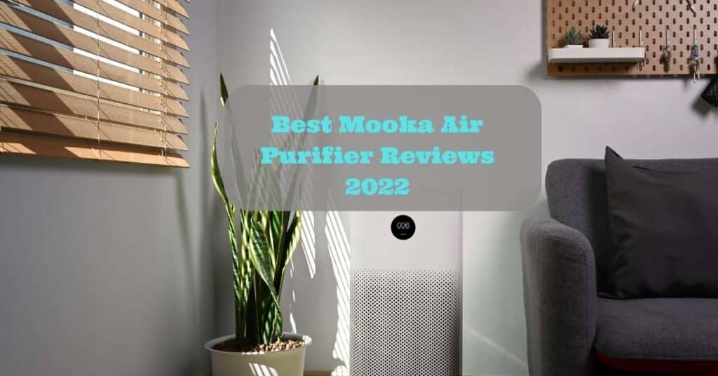 Best Mooka Air Purifier Reviews 2022