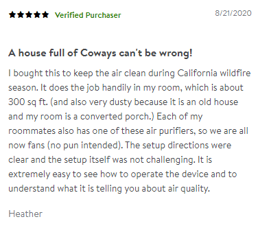 A user review for the Coway Airmega 250 Air Purifier on Walmart