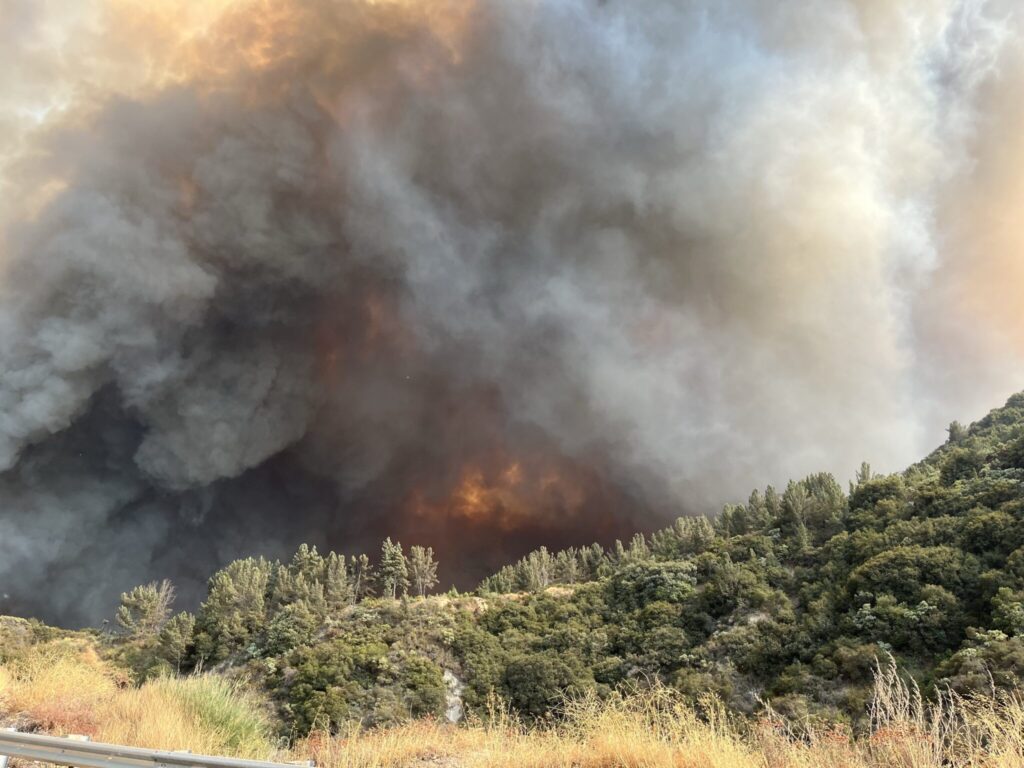 California forest fires