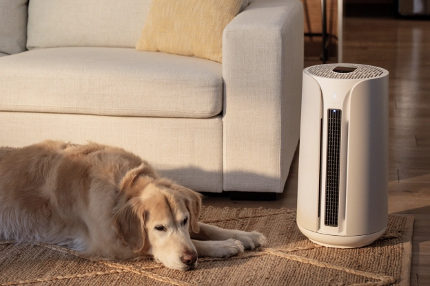 blueair air purifier