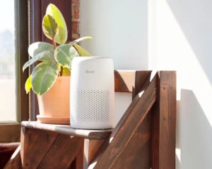 levoit air purifier (3)