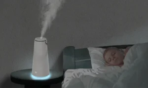 ultrasonic humidifier HM D236