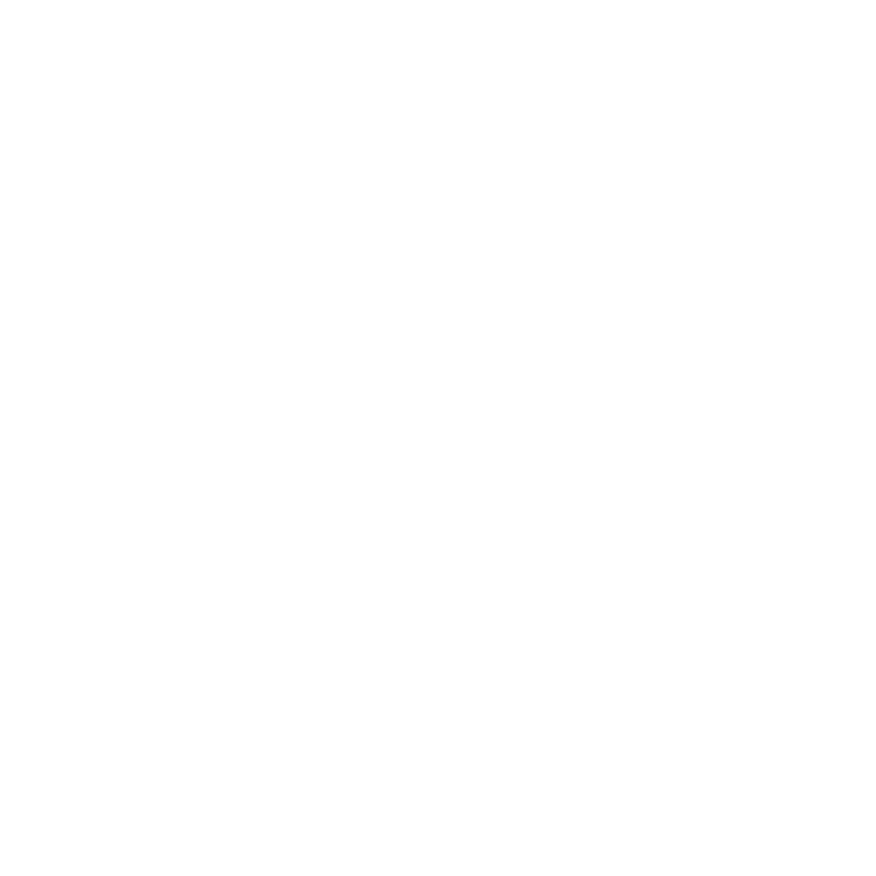 home icon finish