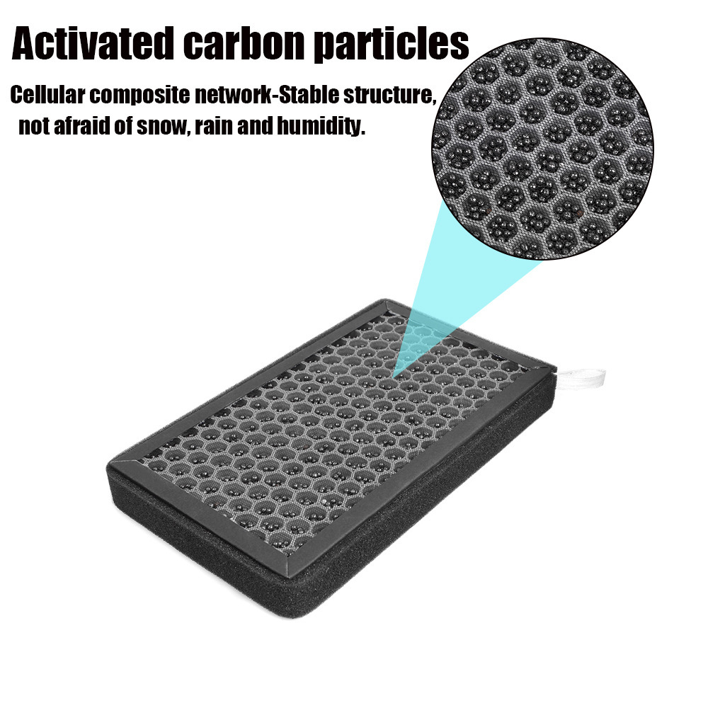 10010-active carbon filter