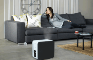 boneco humidifiers 7