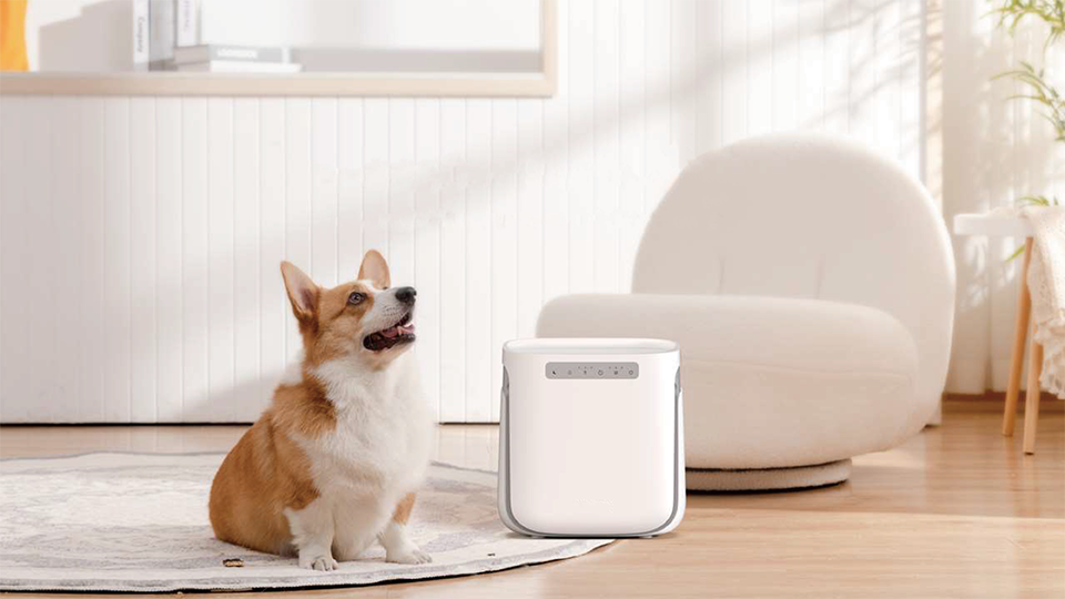 pet air purifier ha d3002