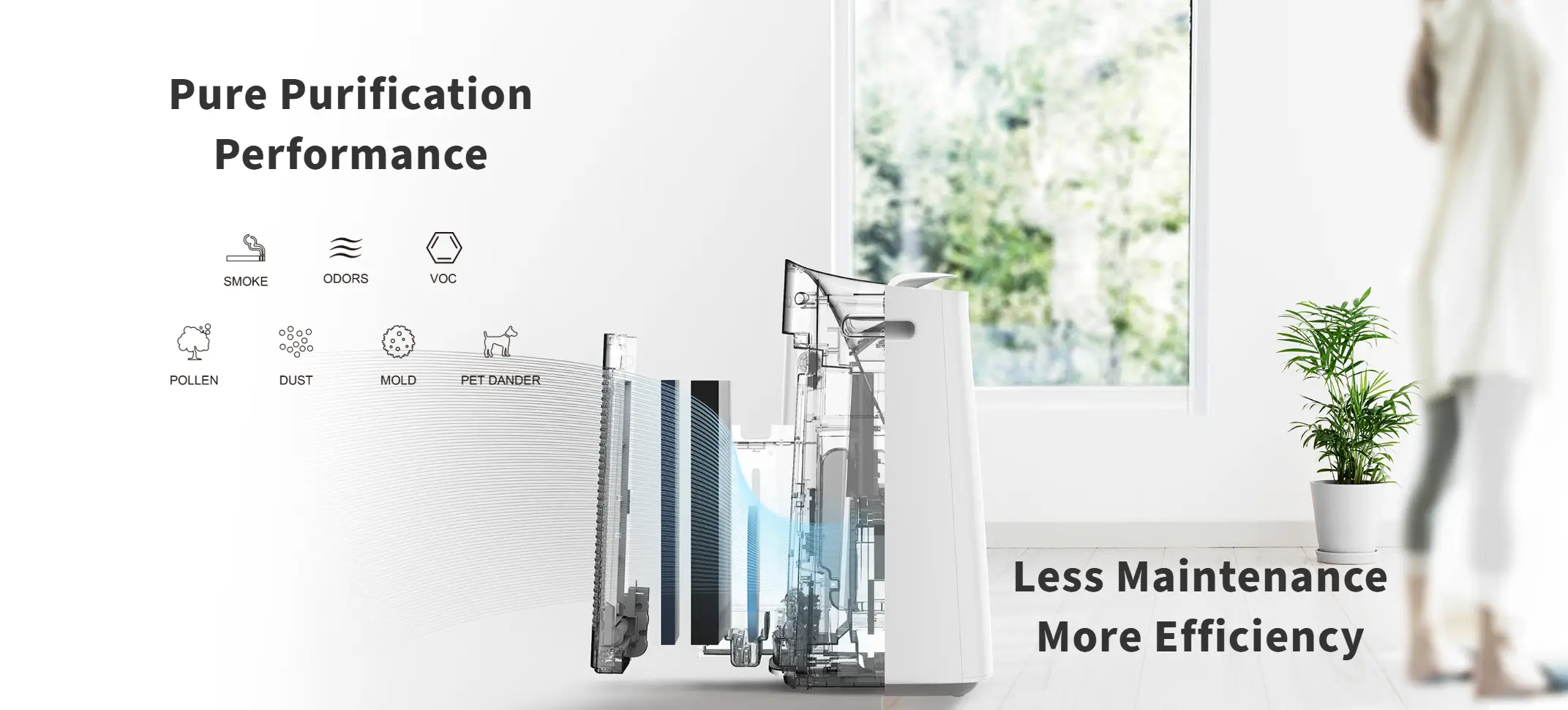 sharp air purifier 11