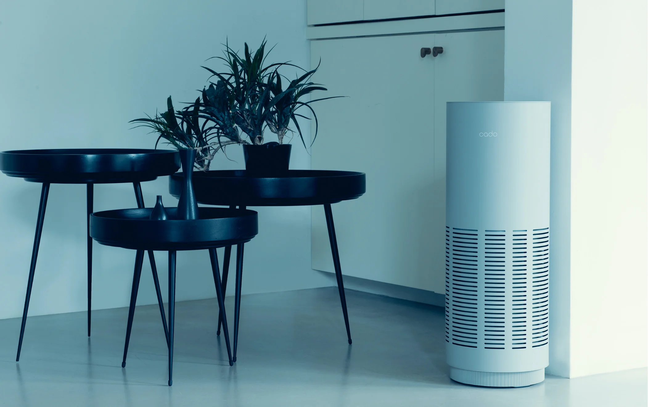 cado air purifier