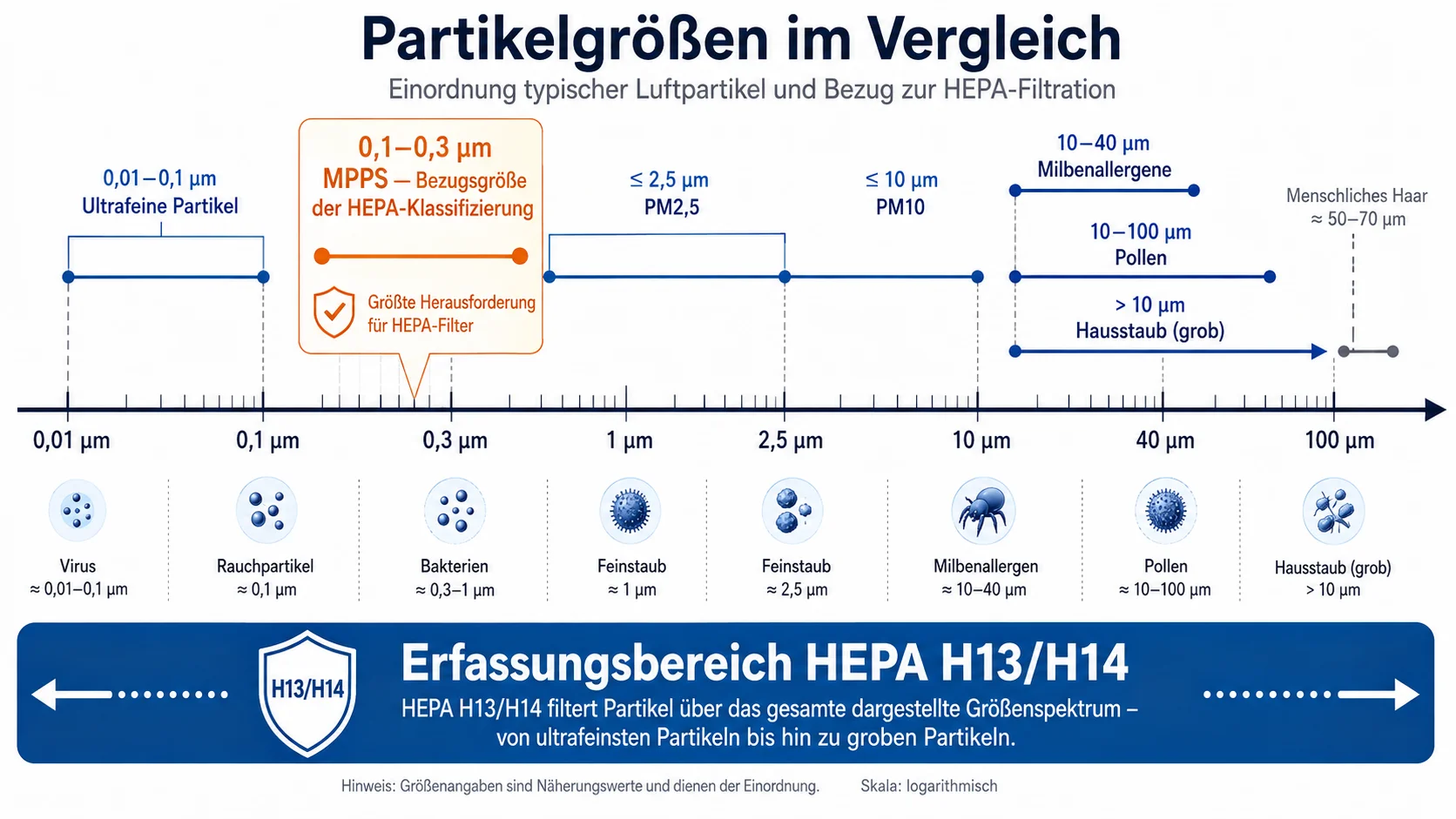 Chart comparing particle sizes, including viruses, bacteria, dust, pollen, and allergens, in reference to HEPA H13/H14 filtration range.