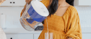 pur water purifiers 2
