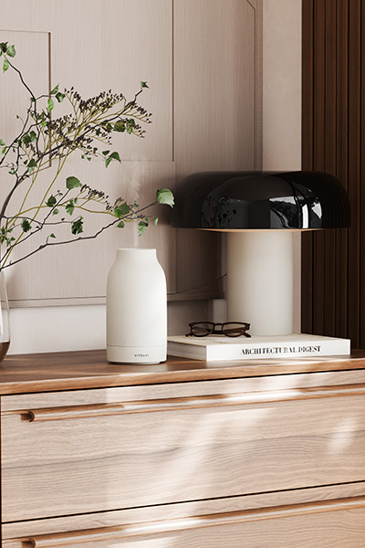 vitruvi diffusers 2